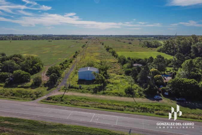 Lote Industrial 2500 m² | La Carolina - Distrito Piñero