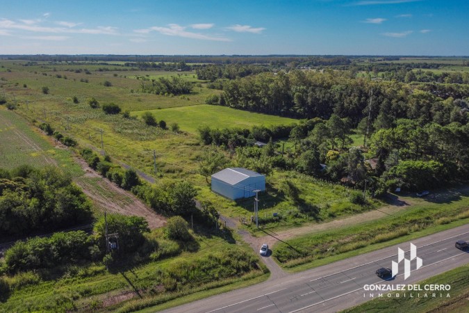 Lote Industrial 2500 m² | La Carolina - Distrito Piñero