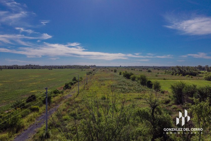Lote Industrial 2500 m² | La Carolina - Distrito Piñero