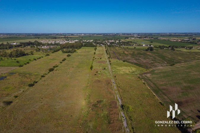 Lote Industrial 2500 m² | La Carolina - Distrito Piñero